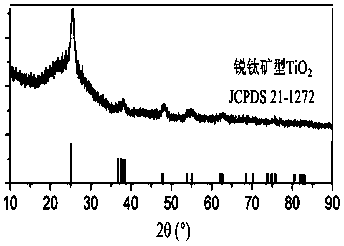 Nanoparticle-filled hollow carbon fiber composite material as well as preparation method and application thereof