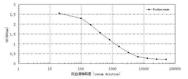 Chlordecone antigen and antibody and preparation method thereof