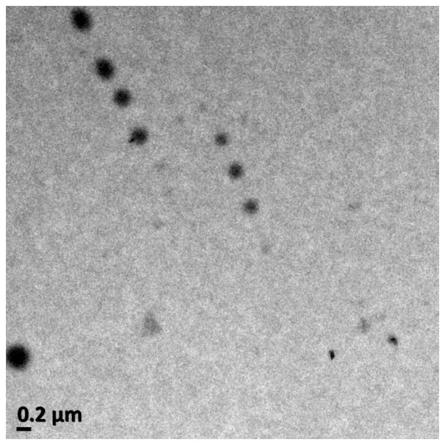 Monoclonal antibody drug oral nanogel and preparation method thereof