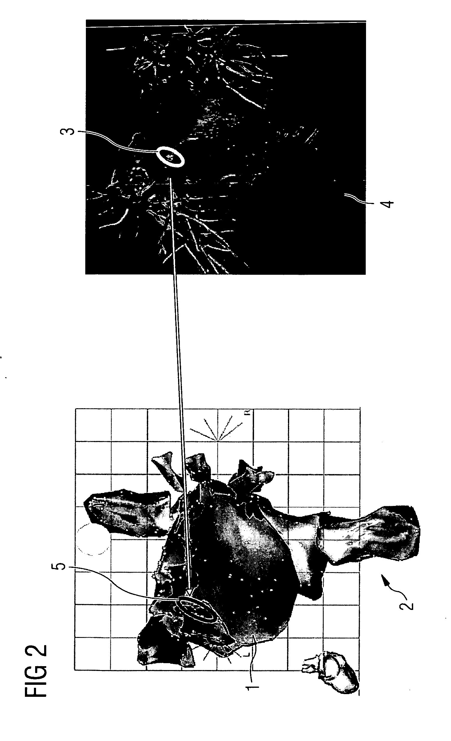 Method and apparatus for visually supporting an electrophysiological catheter application in the heart by means of bidirectional information transfer