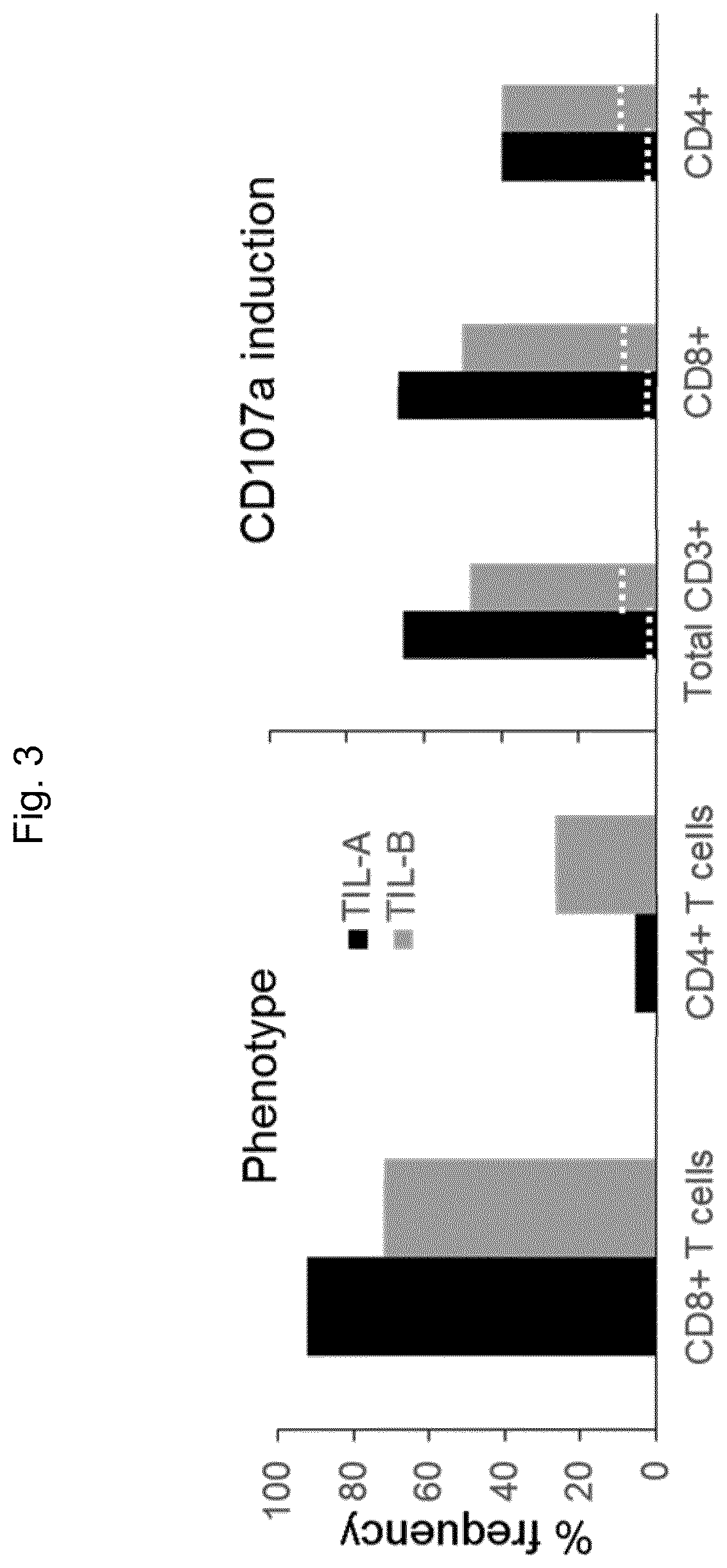 Method for the treatment of a tumor patient with adoptive t cell immunotherapy