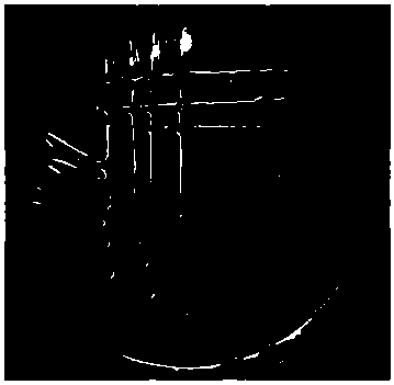 Rhizobium anhuiense V9-2 and application thereof