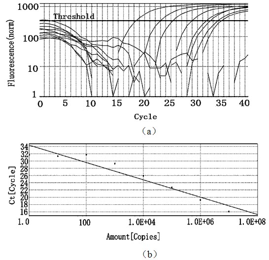 Fluorescence quantitative PCR detection kit and detection method for prawn infectious myonecrosis viruses