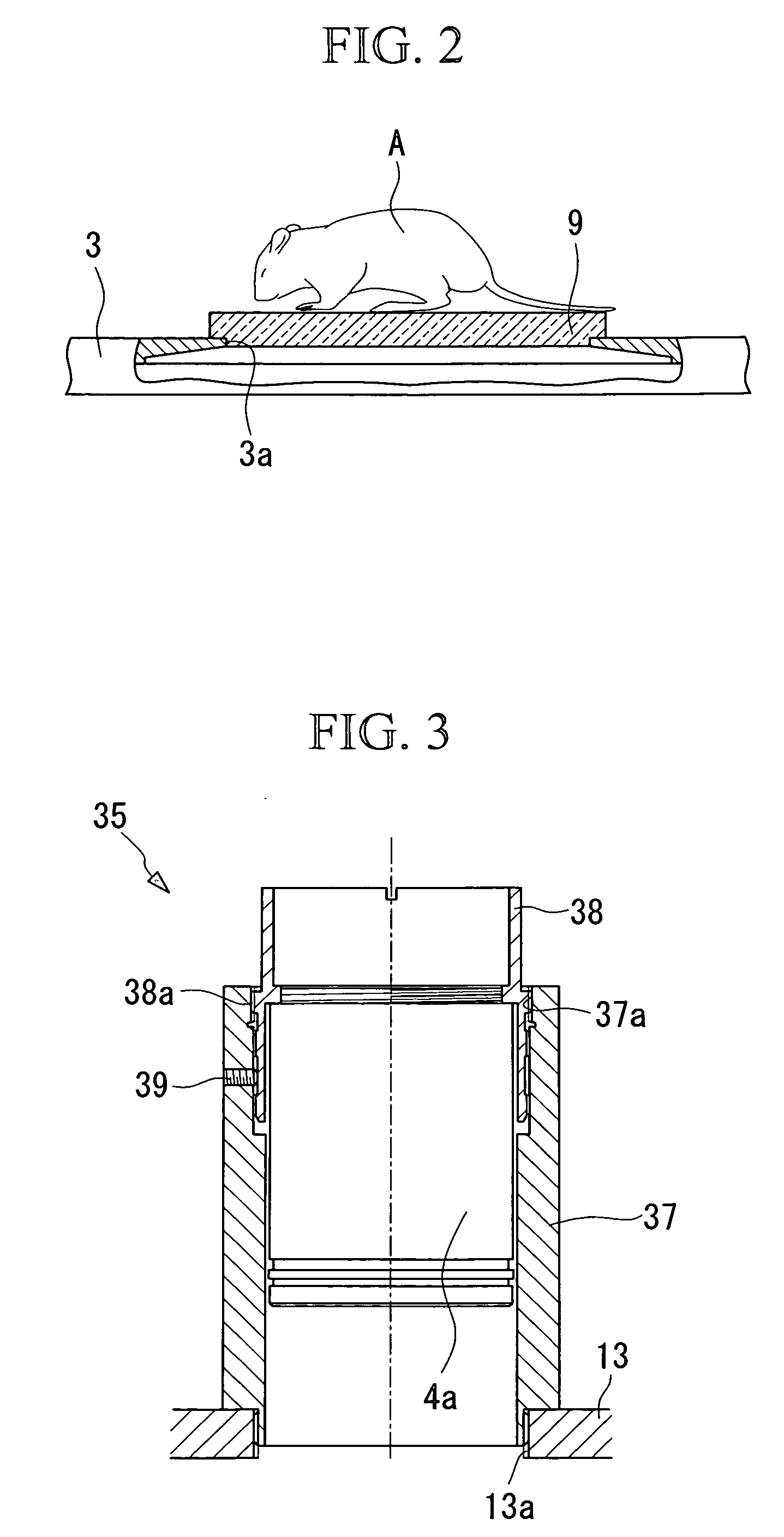 Examination Apparatus, Fluoroscopy Apparatus, Examination Method, And Experimental Method