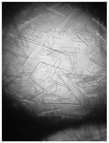 Production method of citric acid gypsum