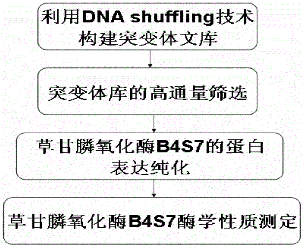 A resistance gene and its encoded protein for degrading the herbicide glyphosate