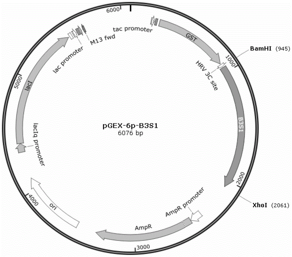 A resistance gene and its encoded protein for degrading the herbicide glyphosate