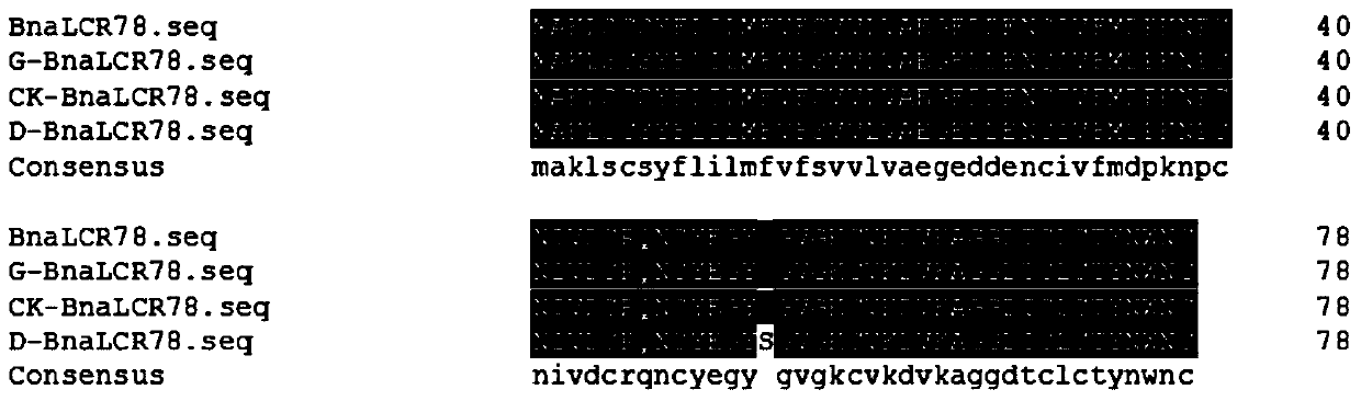 A method for determining high oleic acid content in Brassica napus based on bnalcr78 gene