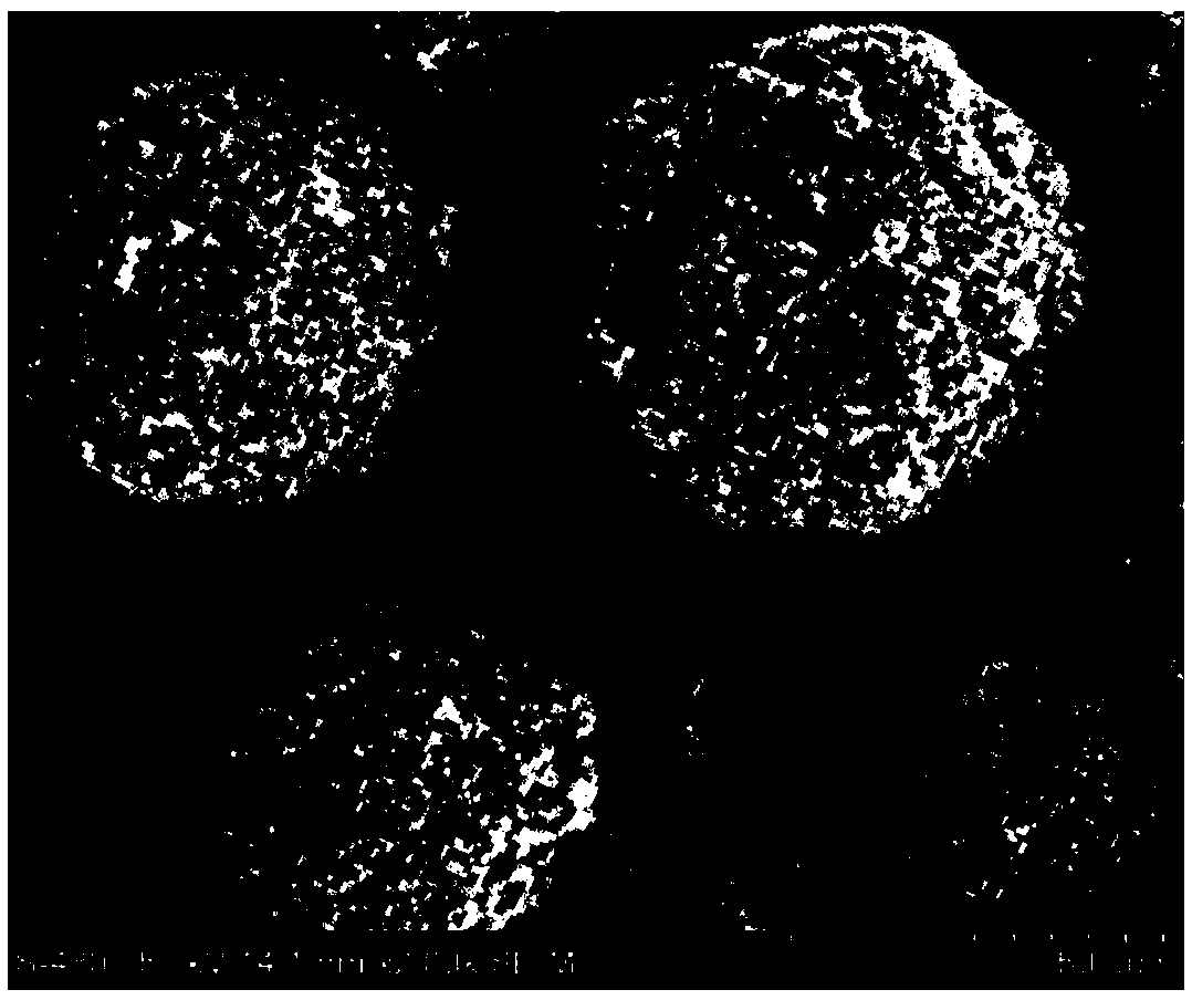 Protein polypeptide medicine duplex microsphere, preparation method of protein polypeptide medicine duplex microsphere, and insulin duplex microsphere