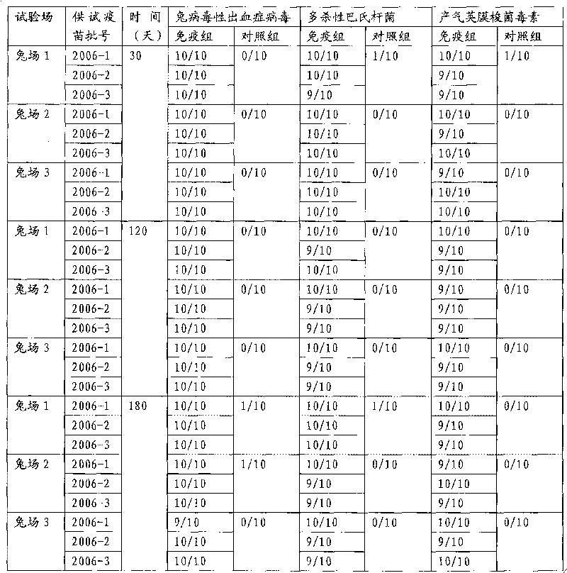 Rabbit triple inactivated vaccine, preparation method and application thereof