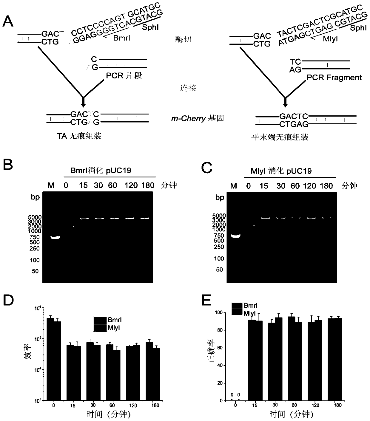 DNA assembly method and application thereof