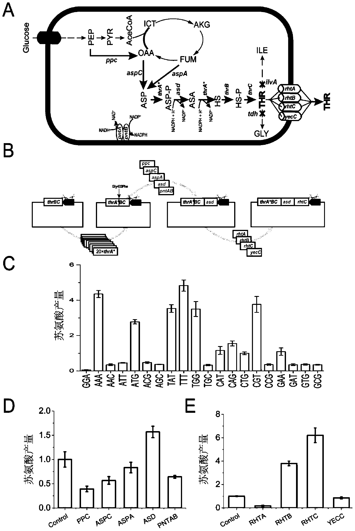 DNA assembly method and application thereof