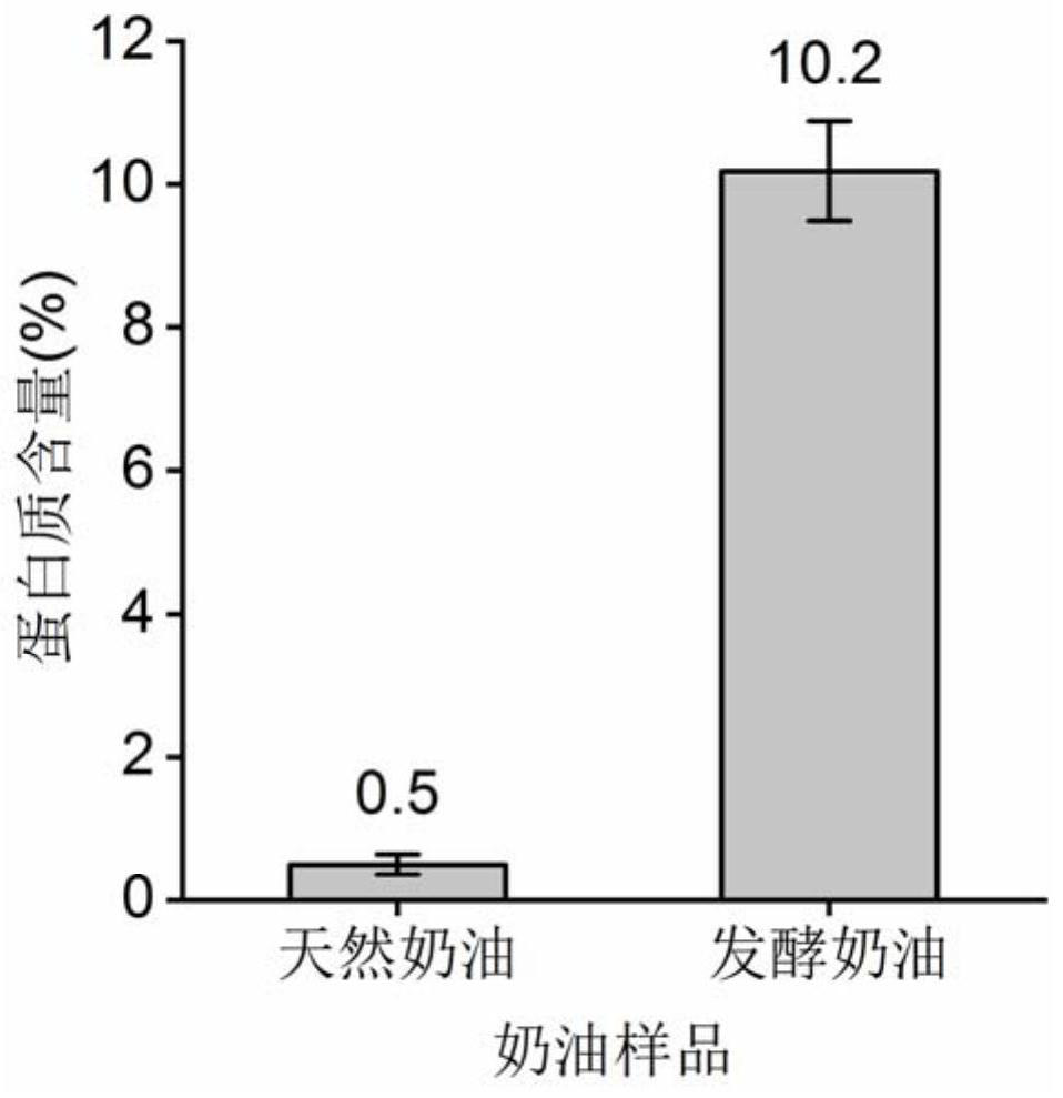 High-protein cheese egg roll and preparation method thereof