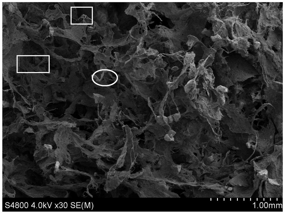 Preparation method of filter screen for filtering lampblack