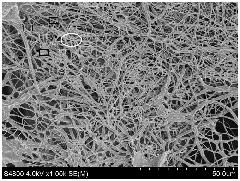 Preparation method of filter screen for filtering lampblack