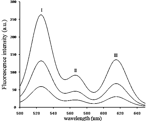 Quantum dot immunochromatography test strip for synchronous and quantitative joint inspection of HBsAg, HBeAg and HBcAb and method for synchronous and quantitative joint inspection of HBsAg, HBeAg and HBcAb