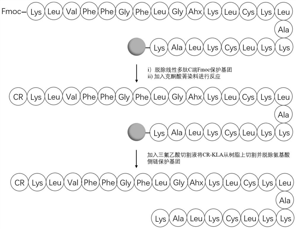 A shape-variable polypeptide-dye conjugate, its preparation method and application