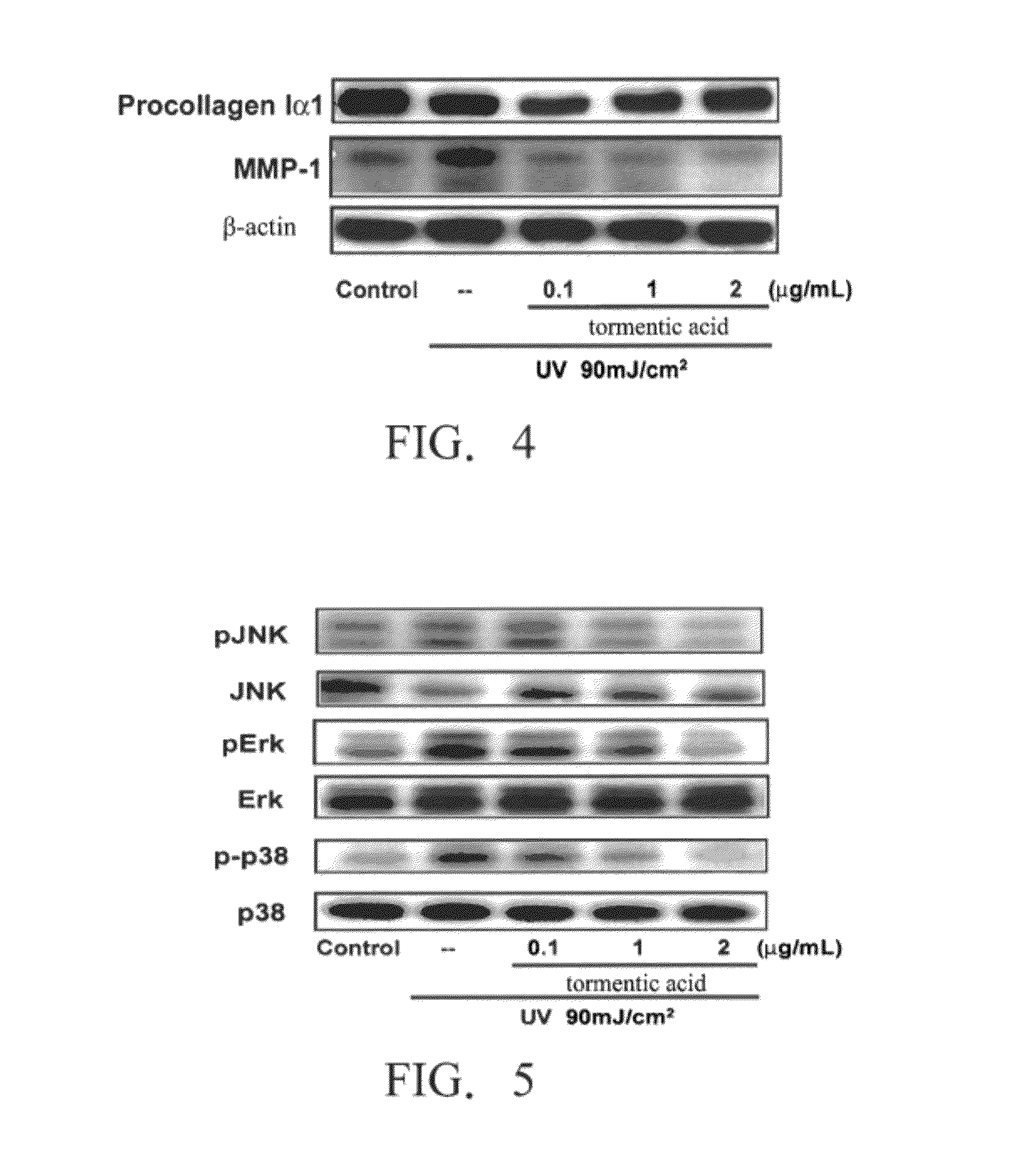 Method for inhibiting activity and/or expression of matrix metalloproteinase, inhibiting phosphorylation of mitogen-activated protein kinase, and/or promoting expression of collagen using tormentic acid