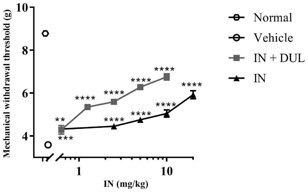 Pharmaceutical composition capable of treating pain and application thereof