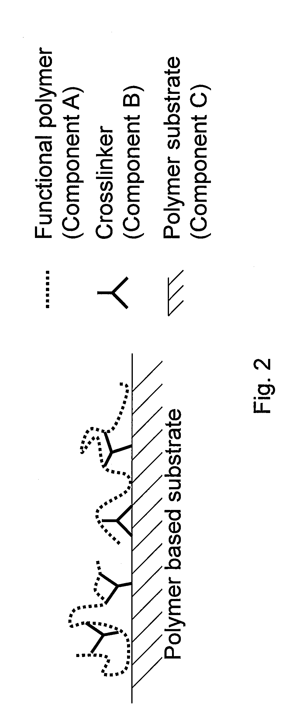 Surface modified polymeric materials, modified functionalized polymers, functional polymers, and methods