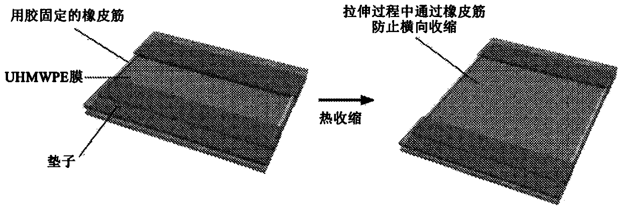 Nanoporous ultra-high molecular weight polyethylene membrane