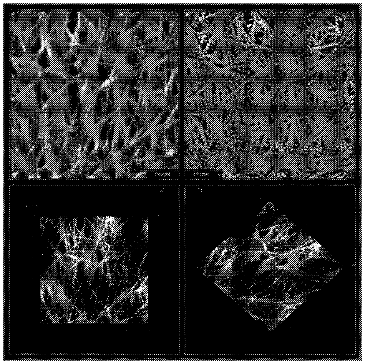 Nanoporous ultra-high molecular weight polyethylene membrane