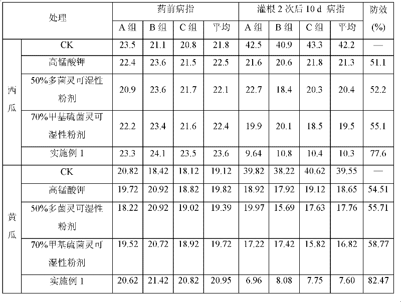 Botanical bactericidal preparation and application of preparation in blight control