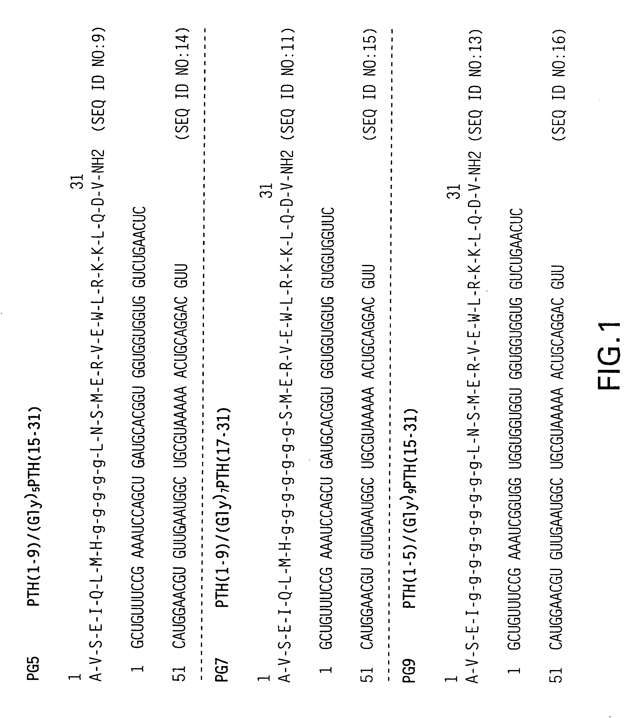 PTH functional domain conjugate peptides, derivatives thereof and novel tethered ligand-receptor molecules