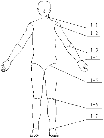 X-ray examination technology positioning patient simulator