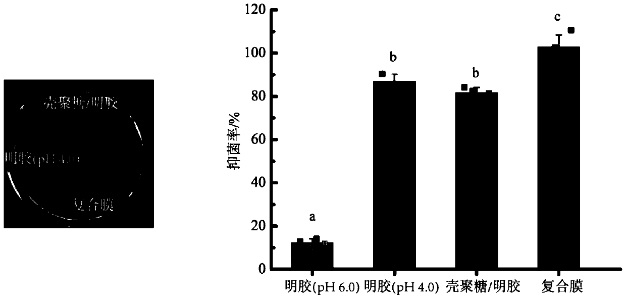 Preparation method of astaxanthin-containing biological antibacterial composite membrane for inhibiting spoilage bacteria of penaeus vannamei boone