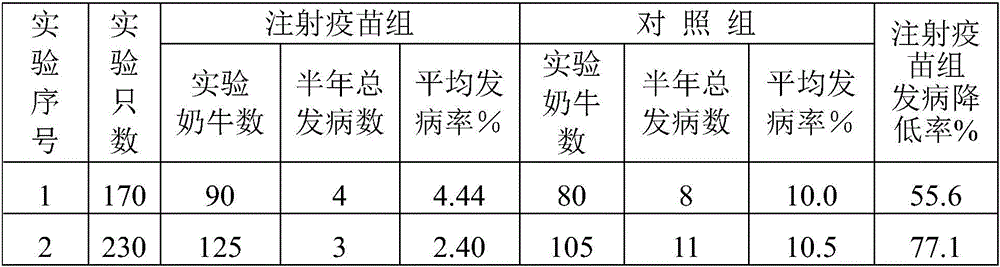 Fusobacterium necrophorum antigen, preparation method thereof, and vaccine prepared by adopting fusobacterium necrophorum antigen