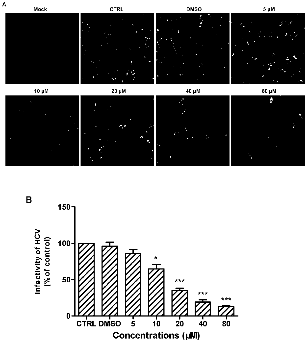 Purpose of synthetic peptide to preparation of medicine for preventing and treating hepatitis virus infection