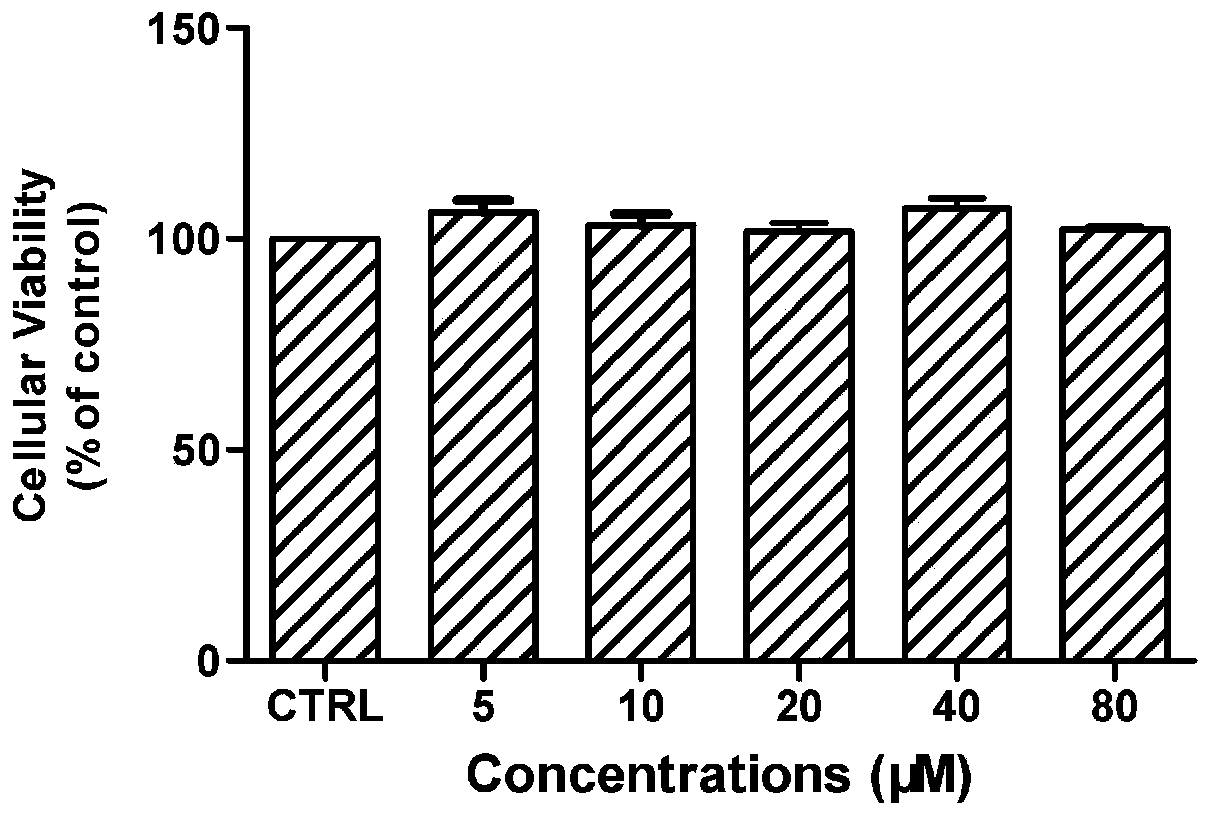 Purpose of synthetic peptide to preparation of medicine for preventing and treating hepatitis virus infection