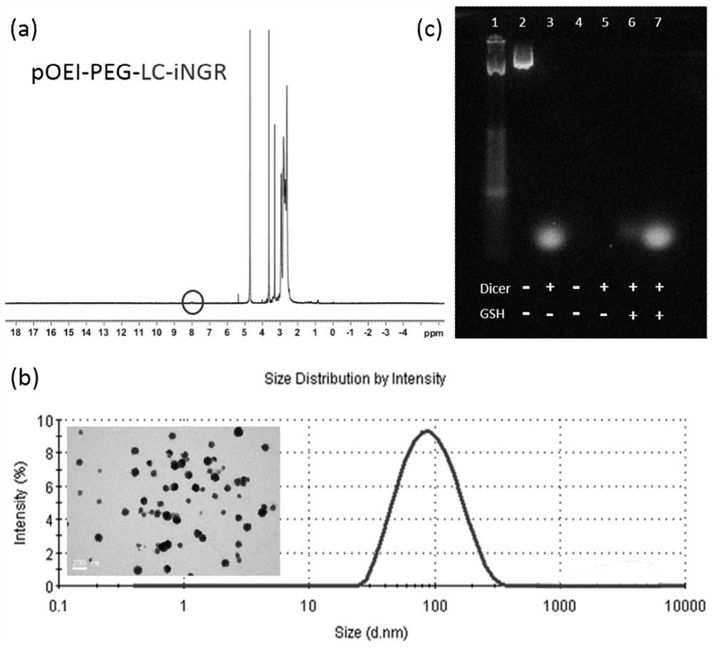 An ingr-modified glioma-targeted self-assembled RNAi nano-drug delivery system and its preparation method