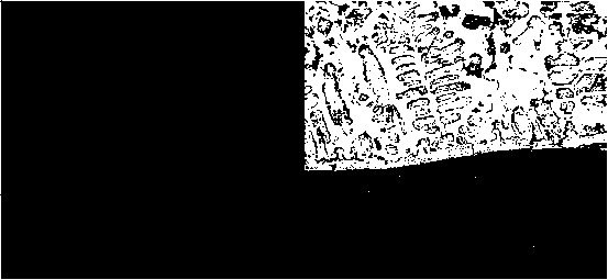 Method for preparing anti-corrosion coating by means of laser cladding technology