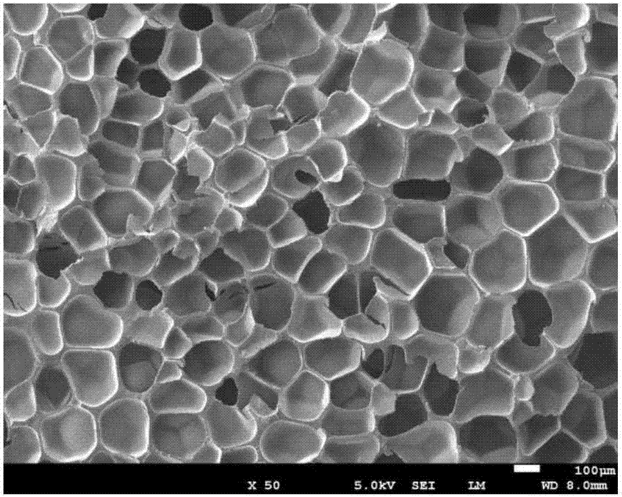 Fluororubber microcellular foam material and preparation method thereof