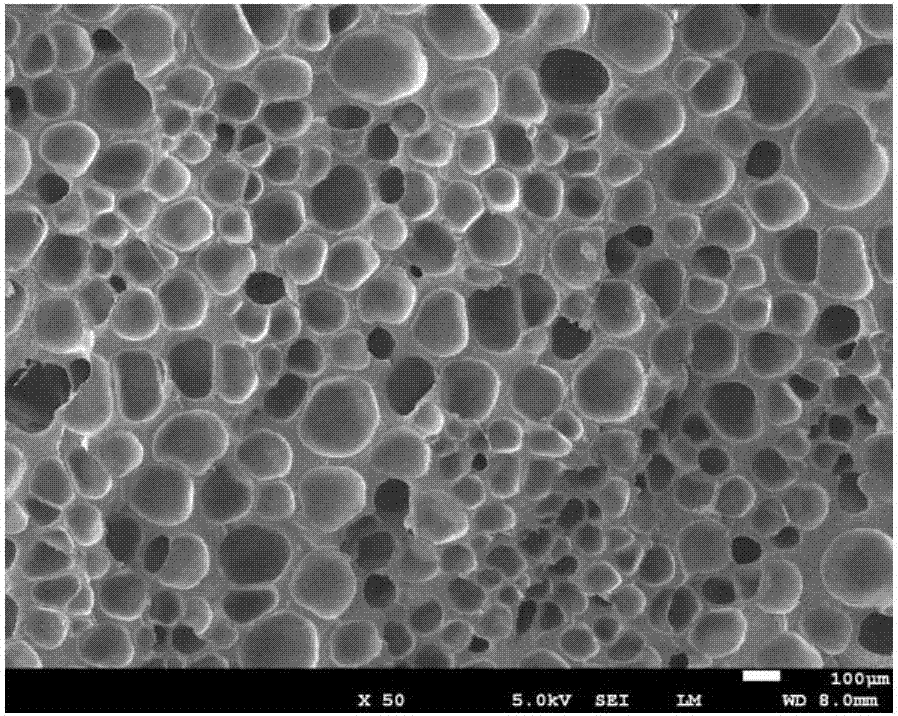 Fluororubber microcellular foam material and preparation method thereof