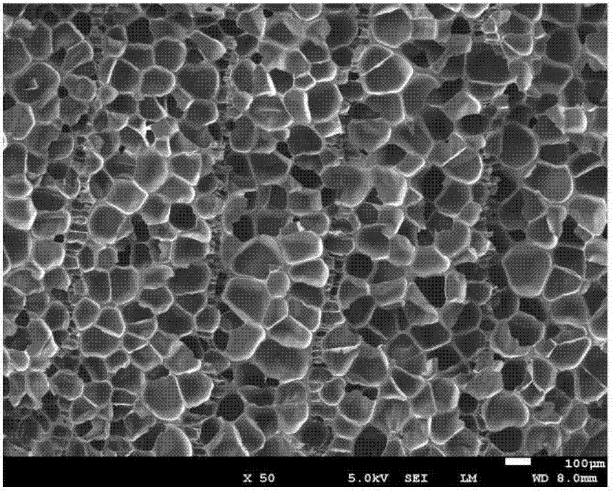 Fluororubber microcellular foam material and preparation method thereof