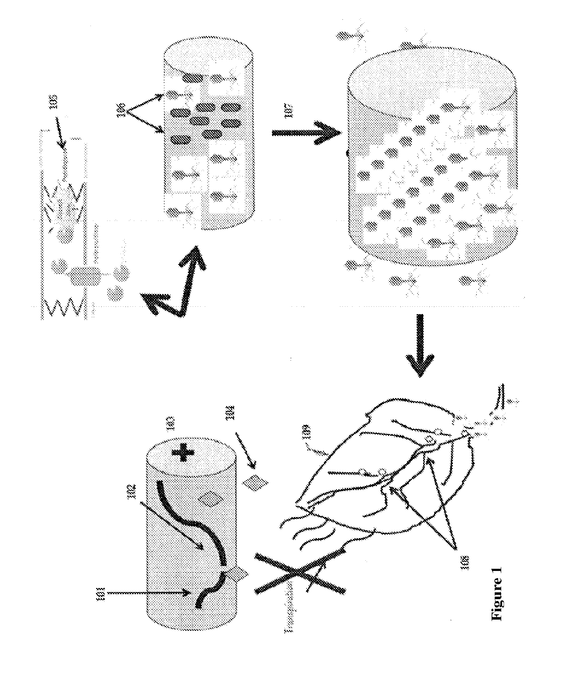 Pathogenesis Quantification Systems and Treatment Methods for Citrus Greening Blight