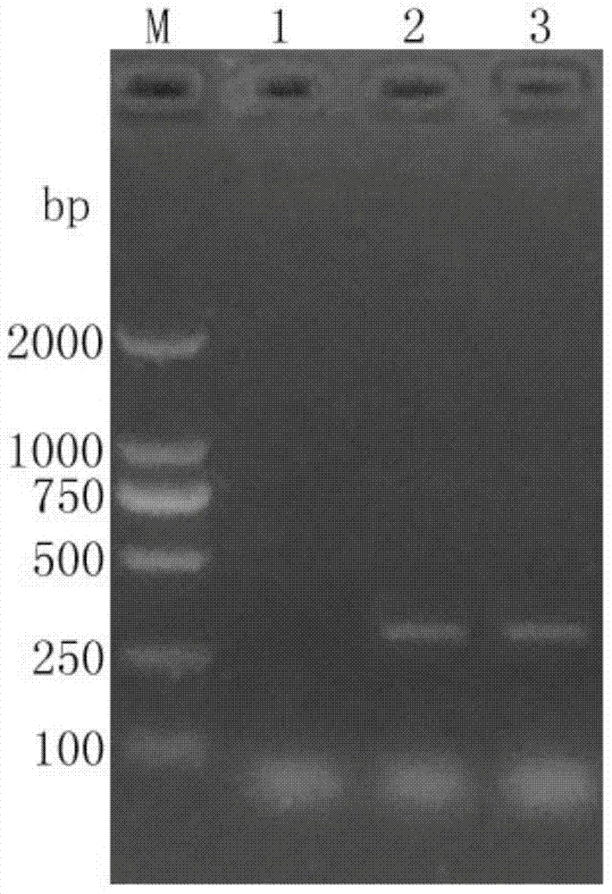 Reagent box and detection method