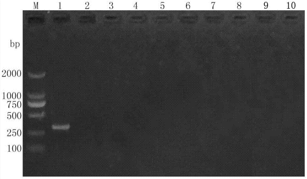 Reagent box and detection method