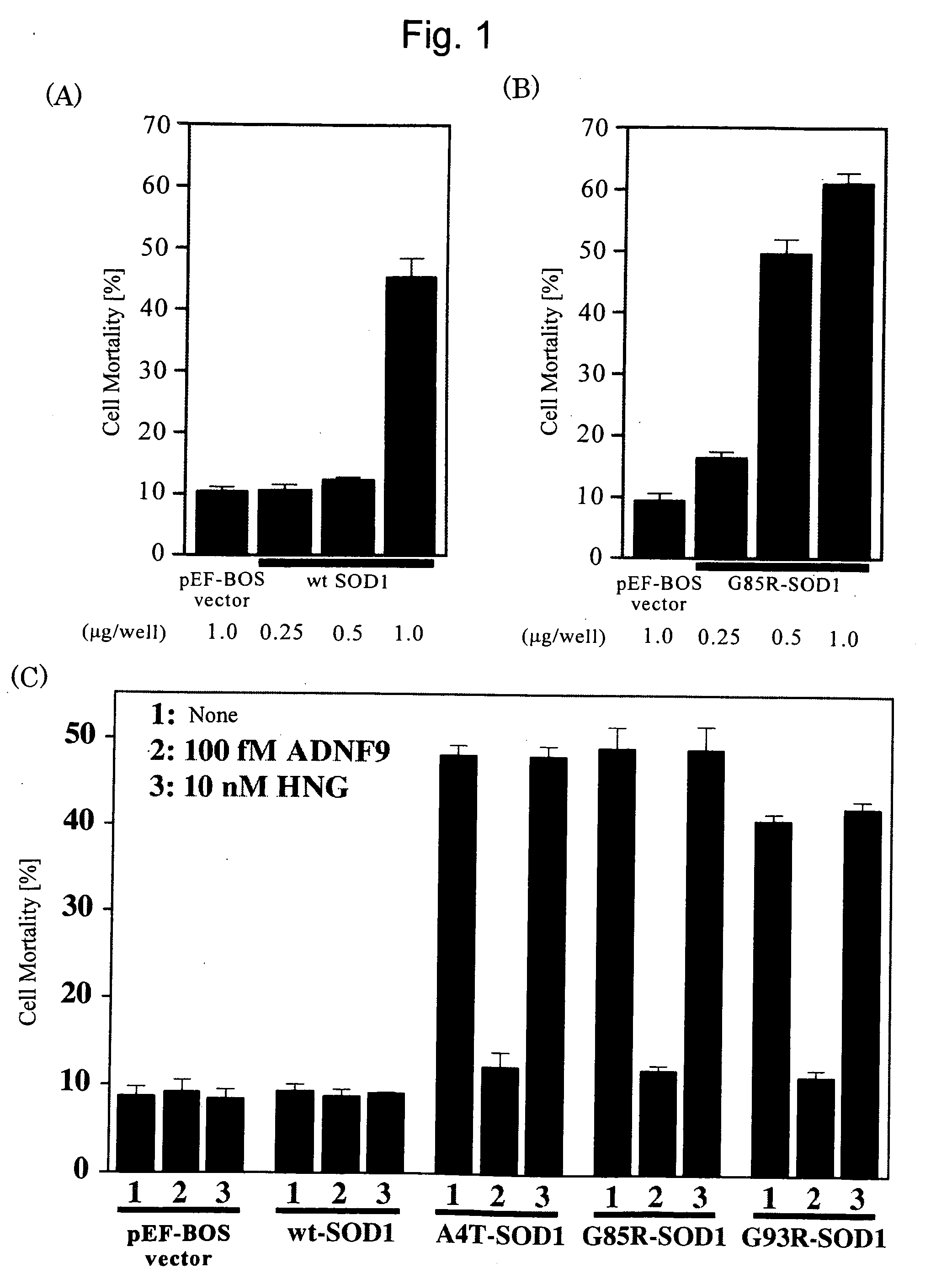 Therapeutic agent for motor neuron disease