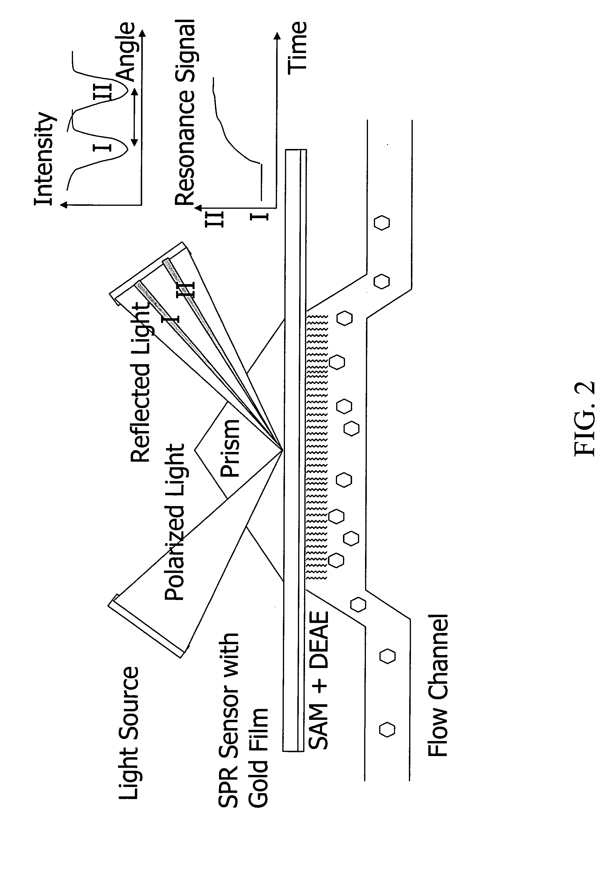 Direct measurement of sorption on three-dimensional surfaces such as resins, membranes or other preformed materials using lateral dispersion to estimate rapid sorption kinetics or high binding capacities