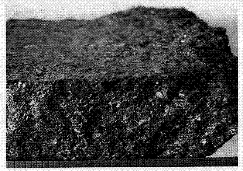 Method for producing carbonized coal with coal material