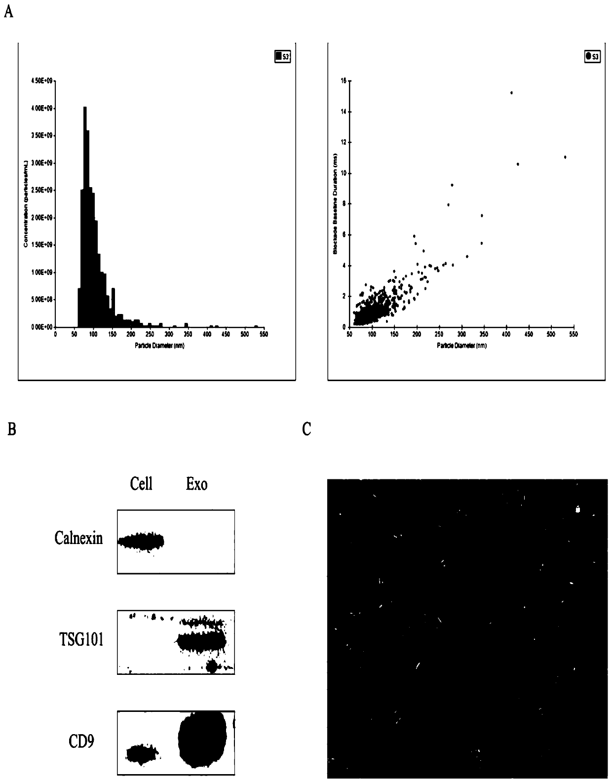 Application of miR-21 in diagnosis and treatment of subarachnoid hemorrhage