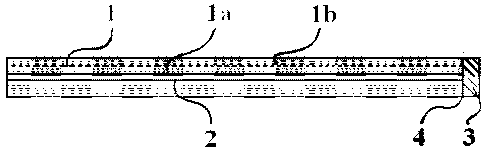 Positive electrode sheet of lithium iron phosphate type lithium ion battery, and preparation method thereof