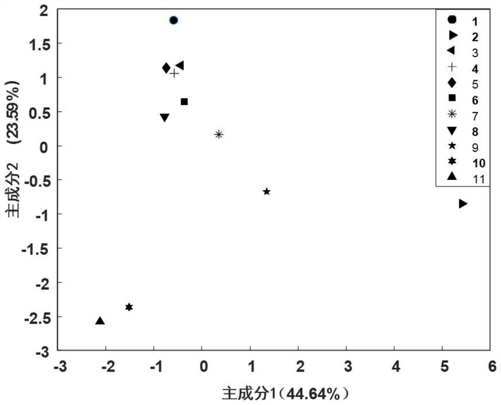 Sensor array based on monolayer fluorescent sensing film and its pattern recognition for toxic gases