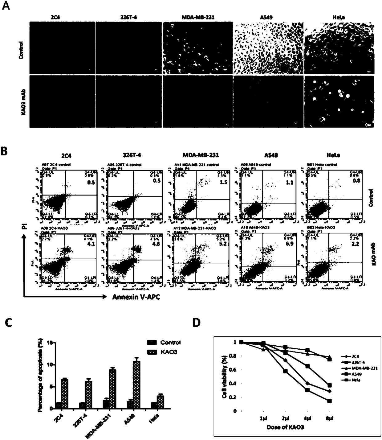 Application of anti-PL2L60 protein antibody in preparing anti-tumor medicine