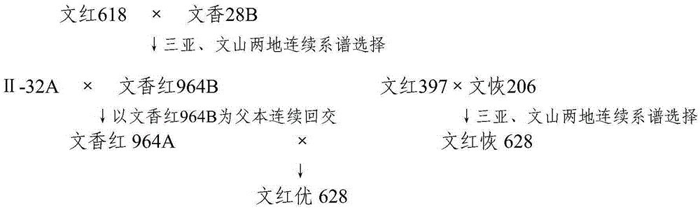 Breeding method for aromatic red soft rice three-line hybrid rice