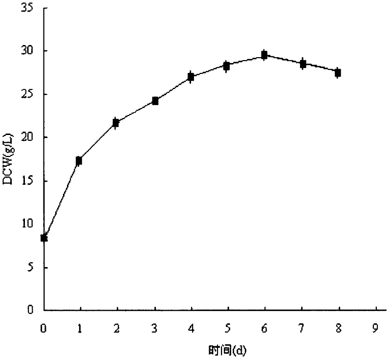 Method for producing novel non-preservative oat and lucid ganoderma beverage